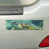 Turks in Hawaï Bumpersticker (Op auto)