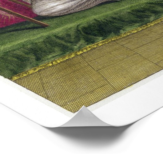 Turks meisje, borduurwerk, 18e eeuw (engravin) poster (Hoek)