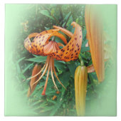 Turks Pet Lily Wildflower - links Tegeltje (Voorkant)