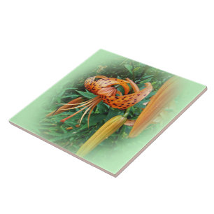Turks Pet Lily Wildflower - links Tegeltje