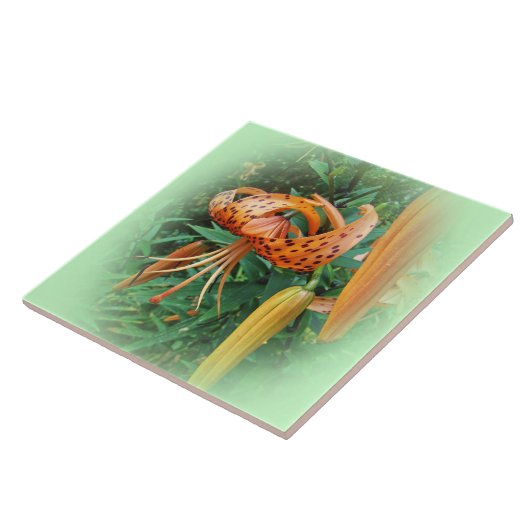 Turks Pet Lily Wildflower - links Tegeltje (Zijkant)