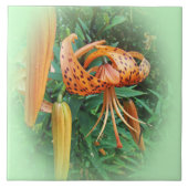 Turks Pet Lily Wildflower Tegeltje (Voorkant)