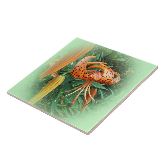 Turks Pet Lily Wildflower Tegeltje (Zijkant)