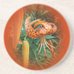 Turks Pet Lily Wildflower Zandsteen Onderzetter