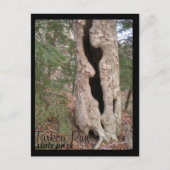 Turks staatspark Hallow Tree Briefkaart (Voorkant)