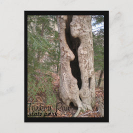 Turks staatspark Hallow Tree Briefkaart