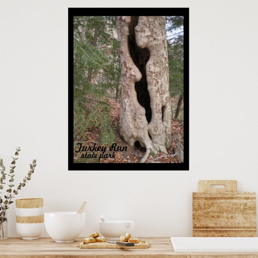 Turks staatspark, hallow Tree Poster (Keuken)