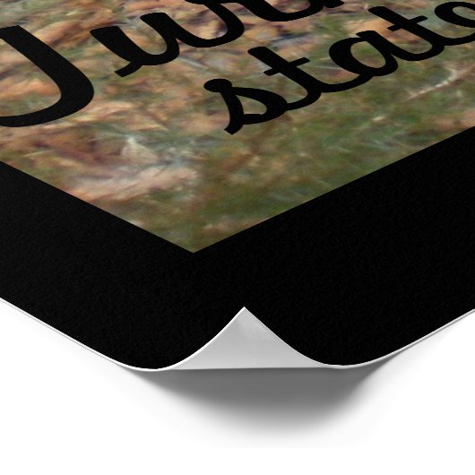 Turks staatspark, hallow Tree Poster (Hoek)