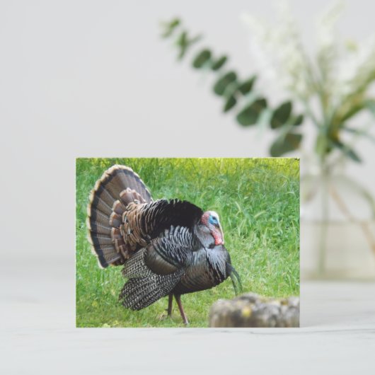 Turks Time Briefkaart (Staand voorkant)