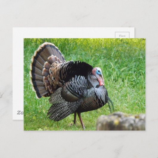 Turks Time Briefkaart (Voorkant / Achterkant)