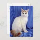 Turks Van Briefkaart (Voorkant / Achterkant)