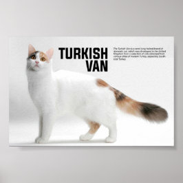 Turks Van Cat Breed Poster