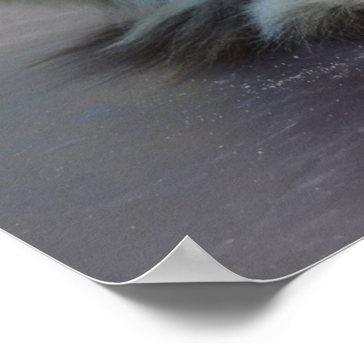 Turks Van Poster (Hoek)