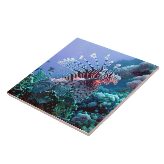 Turks visbestand tegeltje (Zijkant)