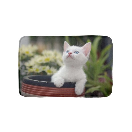 Turks White Kitten Badmat (Voorkant)