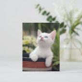 Turks White Kitten Briefkaart (Staand voorkant)