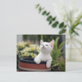 Turks White Kitten Briefkaart (Staand voorkant)