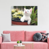 Turks White Kitten Canvas Afdruk (Insitu (Woonkamer))