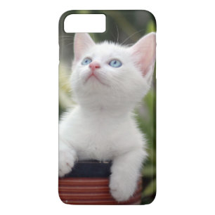 Turks White Kitten Case-Mate iPhone Case