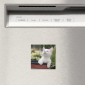Turks White Kitten Magneet (Insitu (Vaatwasser))