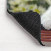 Turks White Kitten Muismat (Hoek)