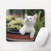 Turks White Kitten Muismat (Met muis)
