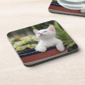 Turks White Kitten Onderzetter (Linkerzijde)