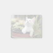 Turks White Kitten Post-it® Notes (Voorkant)