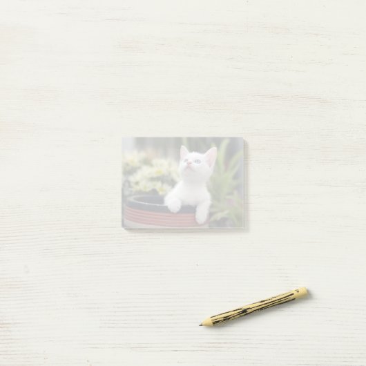 Turks White Kitten Post-it® Notes (Op bureau)