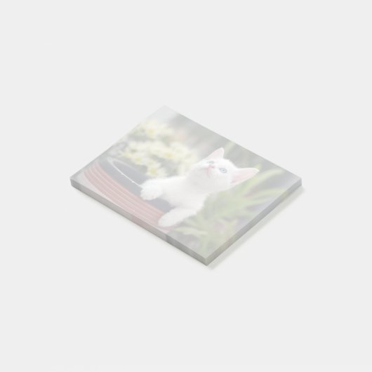 Turks White Kitten Post-it® Notes (Schuin)