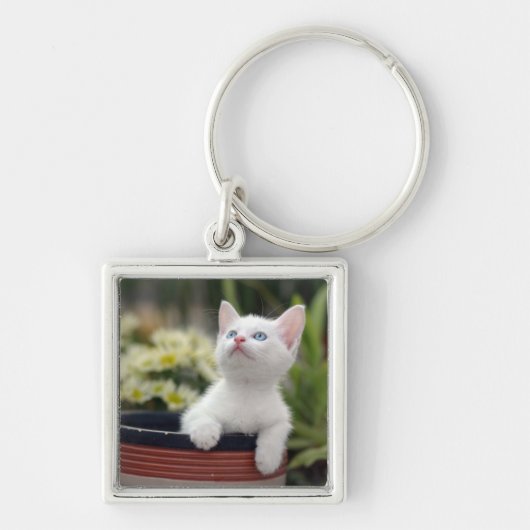Turks White Kitten Sleutelhanger (Voorkant)