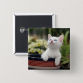 Turks White Kitten Vierkante Button 5,1 Cm (Voorkant /achterkant)