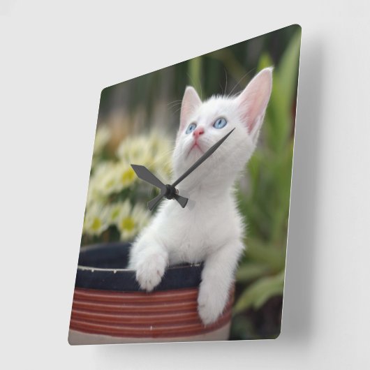 Turks White Kitten Vierkante Klok (Hoek)
