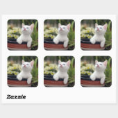 Turks White Kitten Vierkante Sticker (Vel)