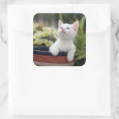 Turks White Kitten Vierkante Sticker (Tas)