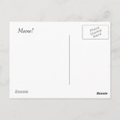 Turkse Angora Kittens Briefkaart (Achterkant)