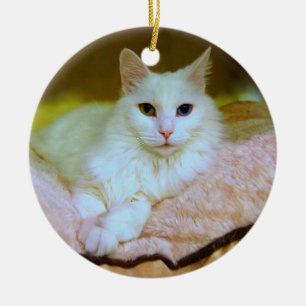 Turkse Angora Princess Cat Ornament