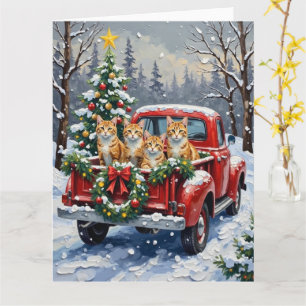 Turkse Angorakat Kerstmis Rode Truck Vakantie Kaart
