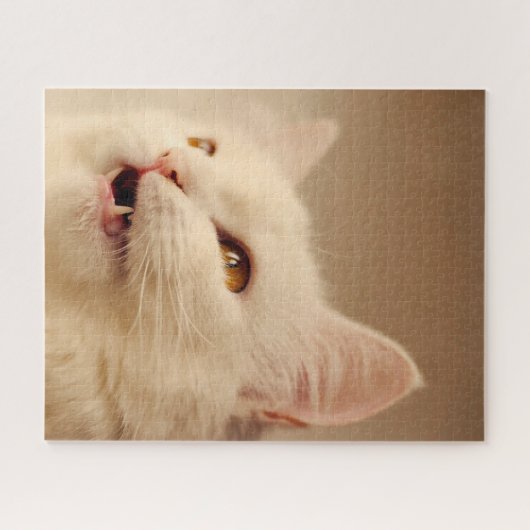 Turkse angorakat. legpuzzel (Horizontaal)