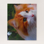 Turkse angorakat. legpuzzel (Verticaal)