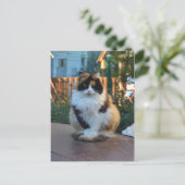 Turkse Bestelwagen Briefkaart (Staand voorkant)