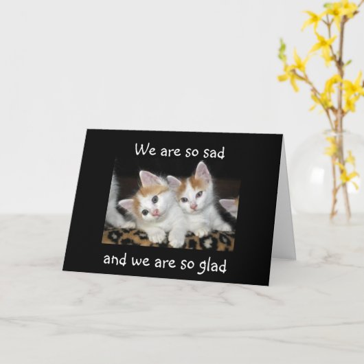 TURKSE BESTELWAGENS ZIJN BLIJ / TRIEST GROEP 40ste Kaart (Gele Bloem)