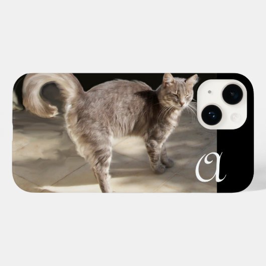 TURKSE CAT MONOGRAM Case-Mate iPhone CASE (Achterkant (horizontaal))