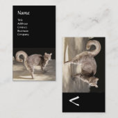 TURKSE CAT MONOGRAM VISITEKAARTJE (Voorkant / Achterkant)