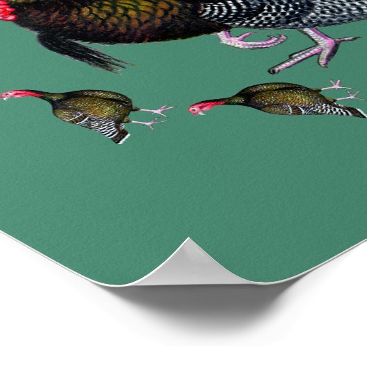 Turkse cirkel poster (Hoek)