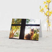 TURKSE KAT IN HET VENSTER KAART (Gele Bloem)