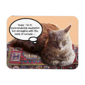 TURKSE KAT IN TRANSCENDENTALE BEMIDDELING MAGNEET (Horizontaal)