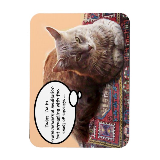 TURKSE KAT IN TRANSCENDENTALE BEMIDDELING MAGNEET (Verticaal)