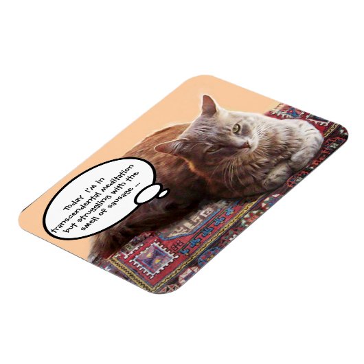 TURKSE KAT IN TRANSCENDENTALE BEMIDDELING MAGNEET (Linkerzijde)