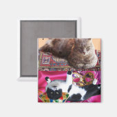 TURKSE KAT IN TRANSCENDENTALE BEMIDDELING MAGNEET (Voorkant / Achterkant)